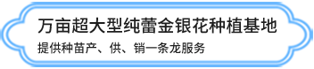 湖北趙木本中藥材種植有限公司